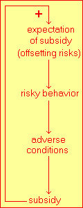 Subsidy/Risky-Behavior Loop